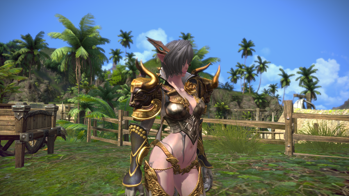 Tera – Gunner Leveling to 30s and&nbsp;40s