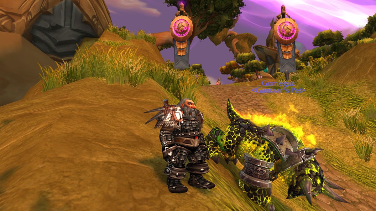 Wardrobe vs Transmog&nbsp;etc.