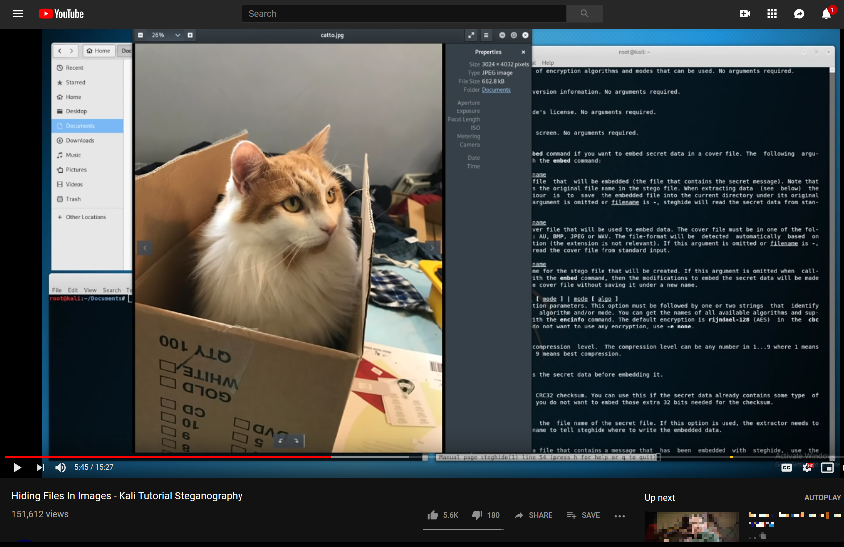 Hiding Files in Images.png