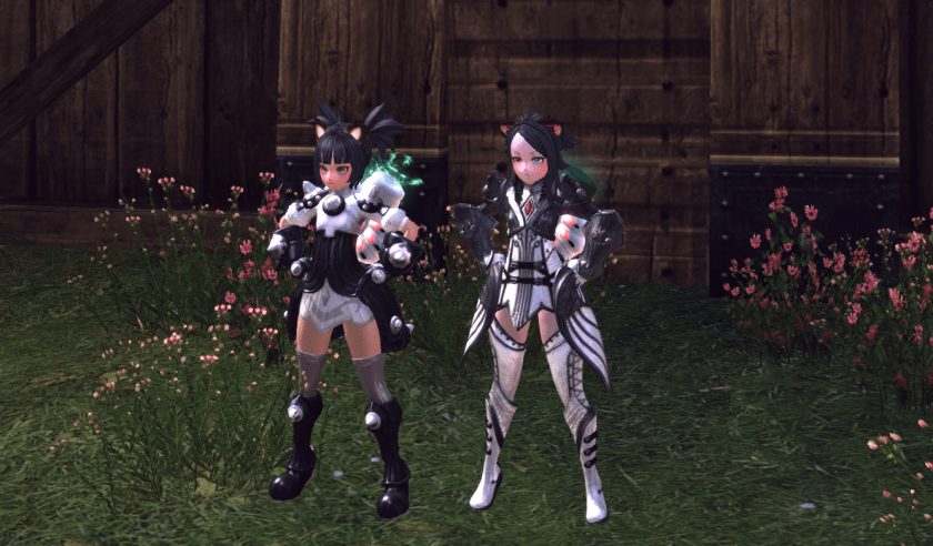Tera_2019_08_02_11_11_36_699x.png