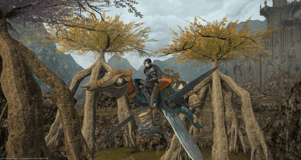 A Tale of Four&nbsp;Mounts